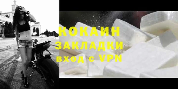 прущие грибы Бронницы