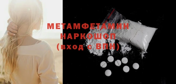 прущие грибы Бронницы