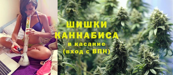 прущие грибы Бронницы