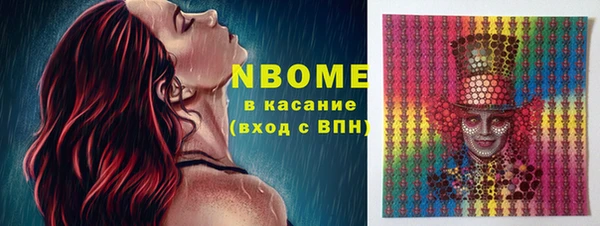 прущие грибы Бронницы