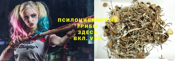 прущие грибы Бронницы