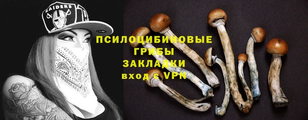 прущие грибы Бронницы