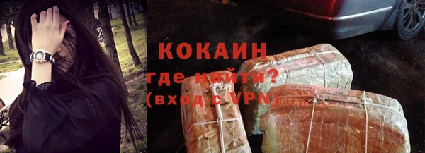 прущие грибы Бронницы