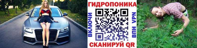 Бошки Шишки Amnesia  Купить  Киренск 